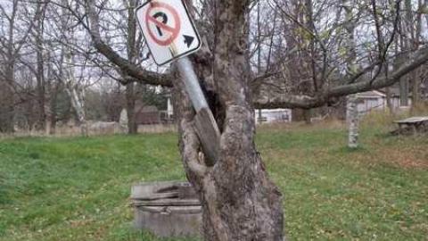 Sign Shack - Road-Sign-Shack36.jpg