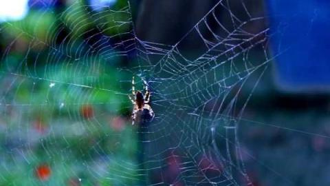  Rest Area - Kenilworth-Pioneer-Cemetery8.jpg