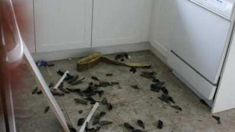 Valloncliffe One Year Later - IMG_2395.jpg