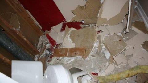 Valloncliffe One Year Later - IMG_2398.jpg