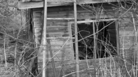 Gallery - Hwy-400-near-Innisfil-Beach-Rd51.jpg