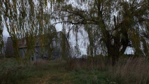 November 4th, 2012 - Pleasantville-Abandoned-Farm76.jpg