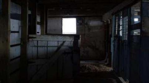 November 4th, 2012 - Pleasantville-Abandoned-Farm61.jpg