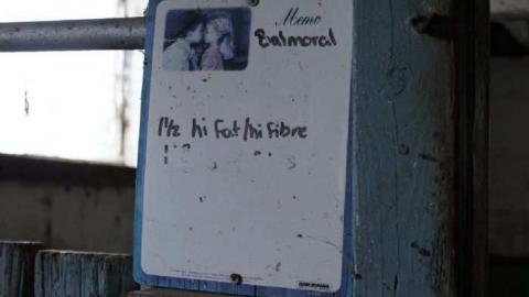 Photo from November 4th, 2012