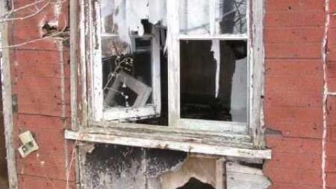 Gallery - Branch-Road2.jpg