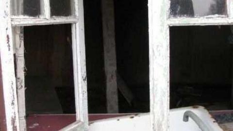 Gallery - Branch-Road3.jpg