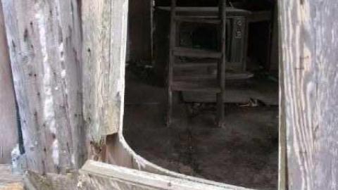 Gallery - Branch-Road4.jpg