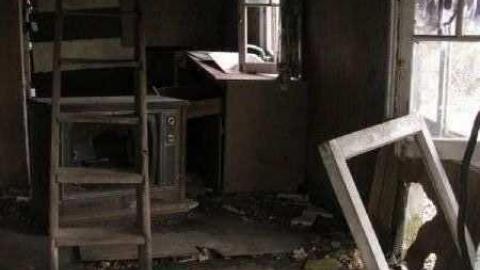 Gallery - Branch-Road5.jpg