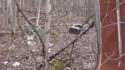 Gallery - Branch-Road7.jpg