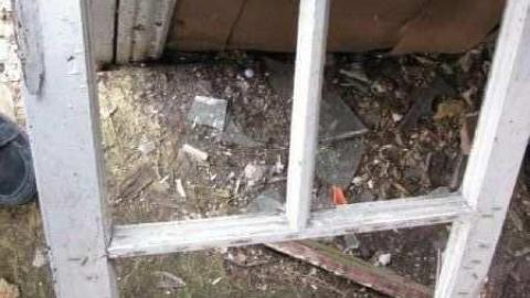 Gallery - Branch-Road8.jpg