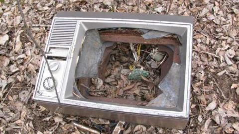 Gallery - Branch-Road10.jpg