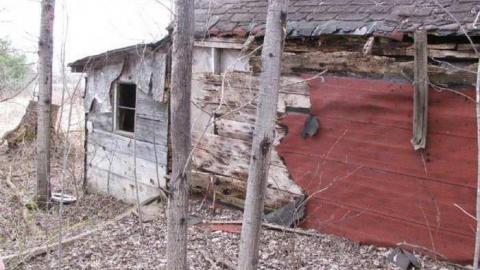 Gallery - Branch-Road11.jpg