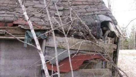 Gallery - Branch-Road12.jpg