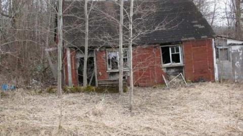 Gallery - Branch-Road13.jpg