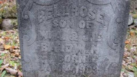 Baldwin Cemetery - Baldwin-Cemetery1.jpg