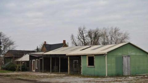 Nov. 10 2012 - Ross-Flowers-Garden-Centre25.jpg