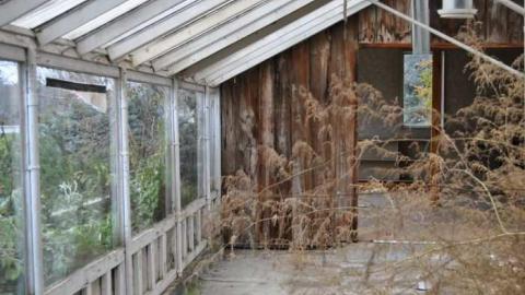 Nov. 10 2012 - Ross-Flowers-Garden-Centre26.jpg