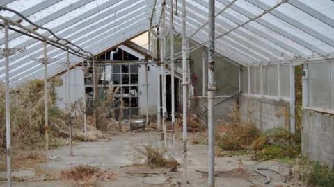 Nov. 10 2012 - Ross-Flowers-Garden-Centre20.jpg