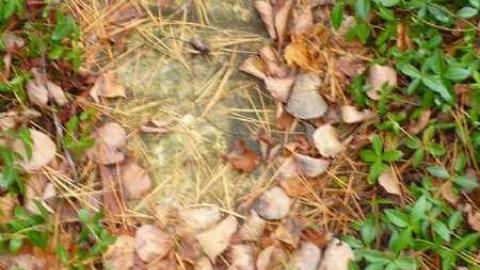 Marian - Marian-Cemetery19.jpg