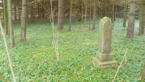 Marian Cemetery photo 5