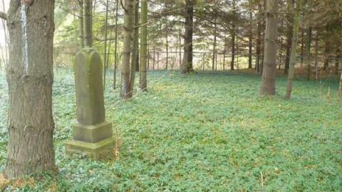 Marian Cemetery photo 3