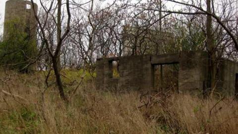 Starlite Starbrite - Starlite-Drivein-Ruins-Parody11.jpg