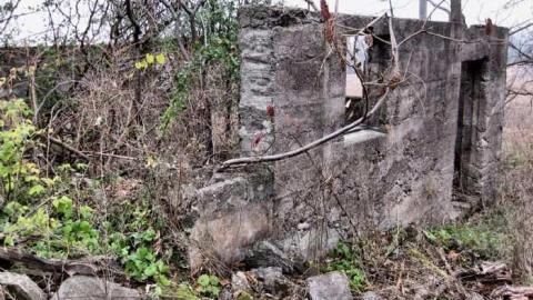 Starlite Starbrite - Starlite-Drivein-Ruins-Parody3.jpg