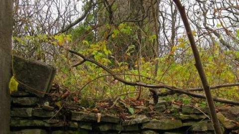 Starlite Starbrite - Starlite-Drivein-Ruins-Parody12.jpg