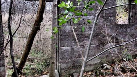 Starlite Starbrite - Starlite-Drivein-Ruins-Parody4.jpg