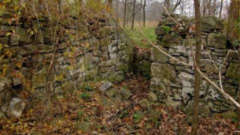 Starlite Starbrite - Starlite-Drivein-Ruins-Parody5.jpg