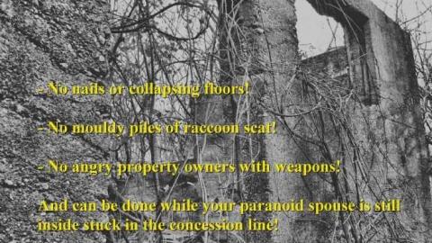 Starlite Starbrite - Starlite-Drivein-Ruins-Parody1.jpg