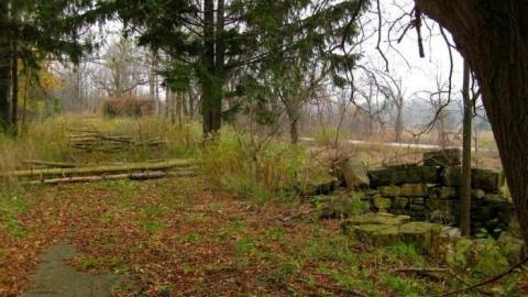 Starlite Starbrite - Starlite-Drivein-Ruins-Parody17.jpg