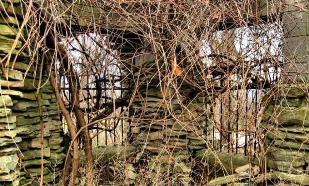 Starlite Drive-in Ruins Parody photo 4