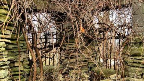 Photo from Starlite Starbrite