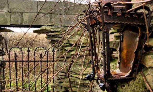 Starlite Drive-in Ruins Parody photo 3