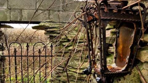 Photo from Starlite Starbrite