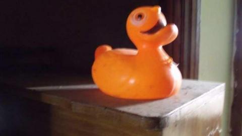 Group Meet - Limehouse-Farm30.jpg