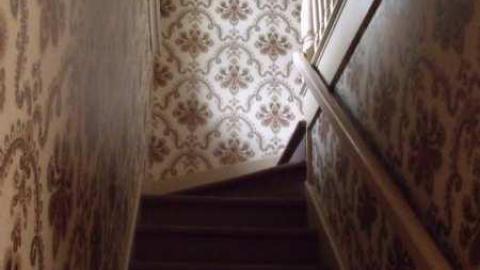 Walkabout - Wallpaper-Walls23.jpg