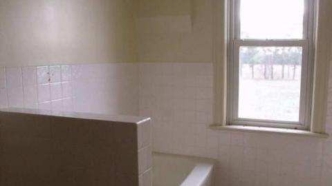 Walkabout - Wallpaper-Walls28.jpg