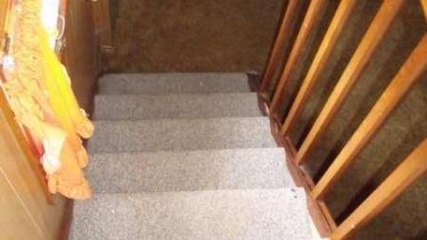 Walkabout - Wallpaper-Walls13.jpg