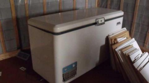 Walkabout - Wallpaper-Walls33.jpg