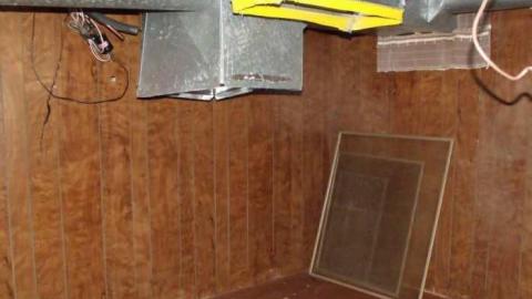 Wallpaper Walls photo 3