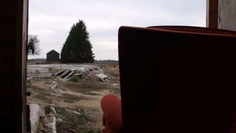 Walkabout - Wallpaper-Walls17.jpg