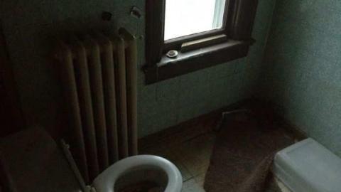 Week ends explore - North-Oakville-farm118.jpg