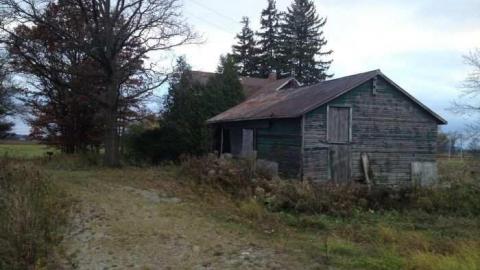 Week ends explore - North-Oakville-farm121.jpg