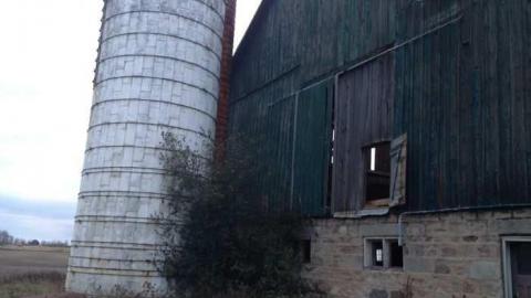 Week ends explore - North-Oakville-farm122.jpg