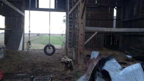 Week ends explore - North-Oakville-farm109.jpg