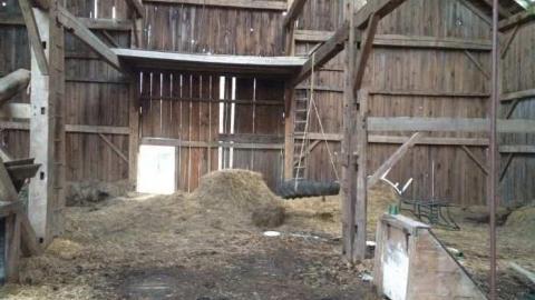 Week ends explore - North-Oakville-farm128.jpg