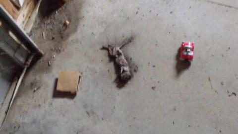 Smelly Walk - The-Unique-Residence5.jpg