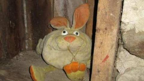 More Then A Photo Shot - Old-Farm79.jpg